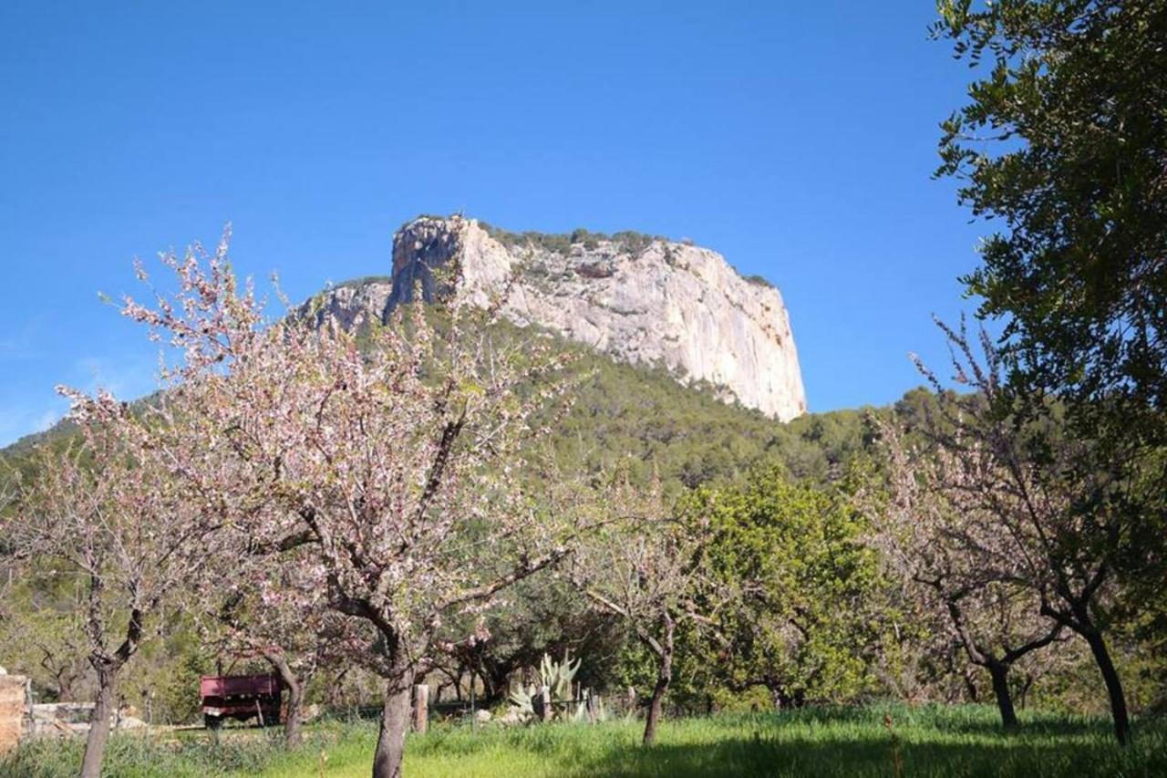 Fressa In A Manor House With Pool & Garden Alaró